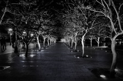 Sidewalks .