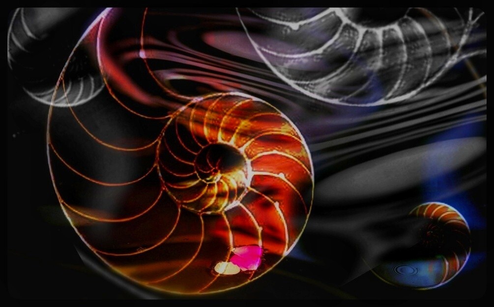 The Parallel World