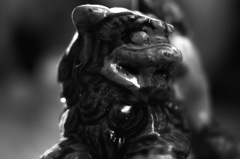 シーサー　阿形　