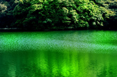 緑の漣