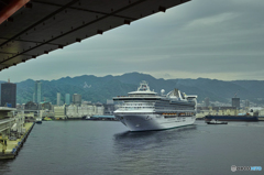 Golden Princess　初入港