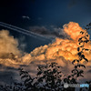 Thunderhead