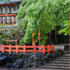 五月雨の祇園社