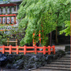 五月雨の祇園社