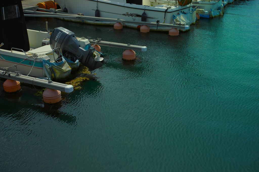 マリーナの海の色