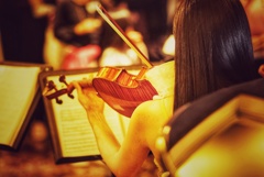 Donna Violinista Donna Violinista