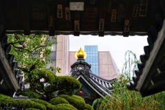 紫雲山 頂法寺 六角堂