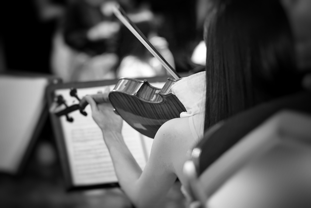 Violinista