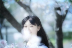 桜ポートレート