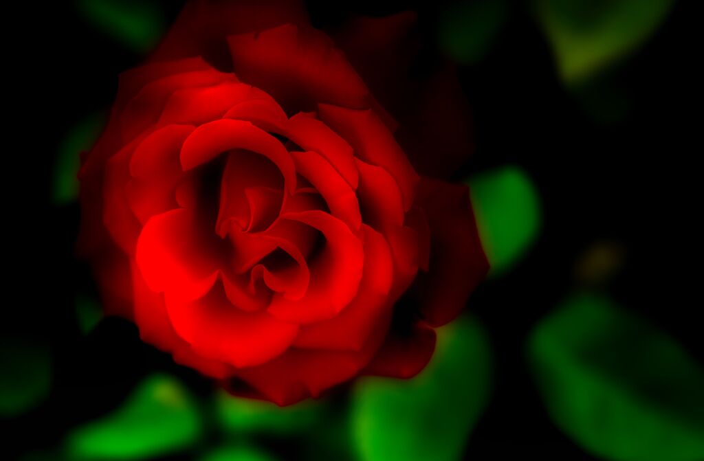 Le Rouge et le Noir