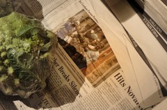 Vege＆newspeper　　Marchéで野菜を買う
