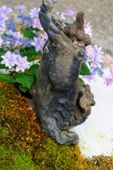 逆さ獅子    (江戸の盆栽から)
