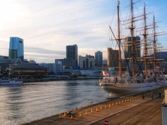 シュリーマンに愛された日本