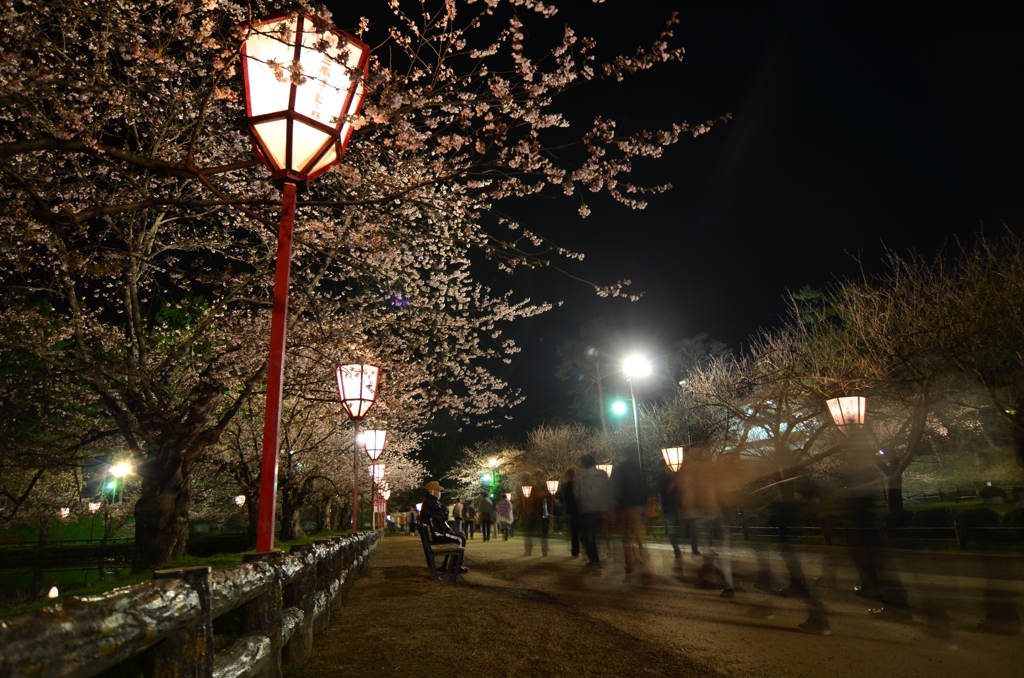 人々と桜