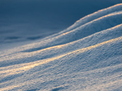 雪境