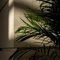 - image - morning -