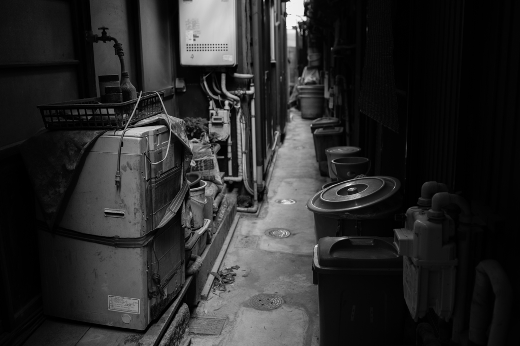 - YANESEN 08 -