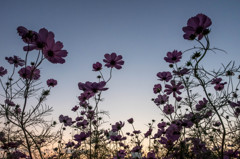 - after sun set -