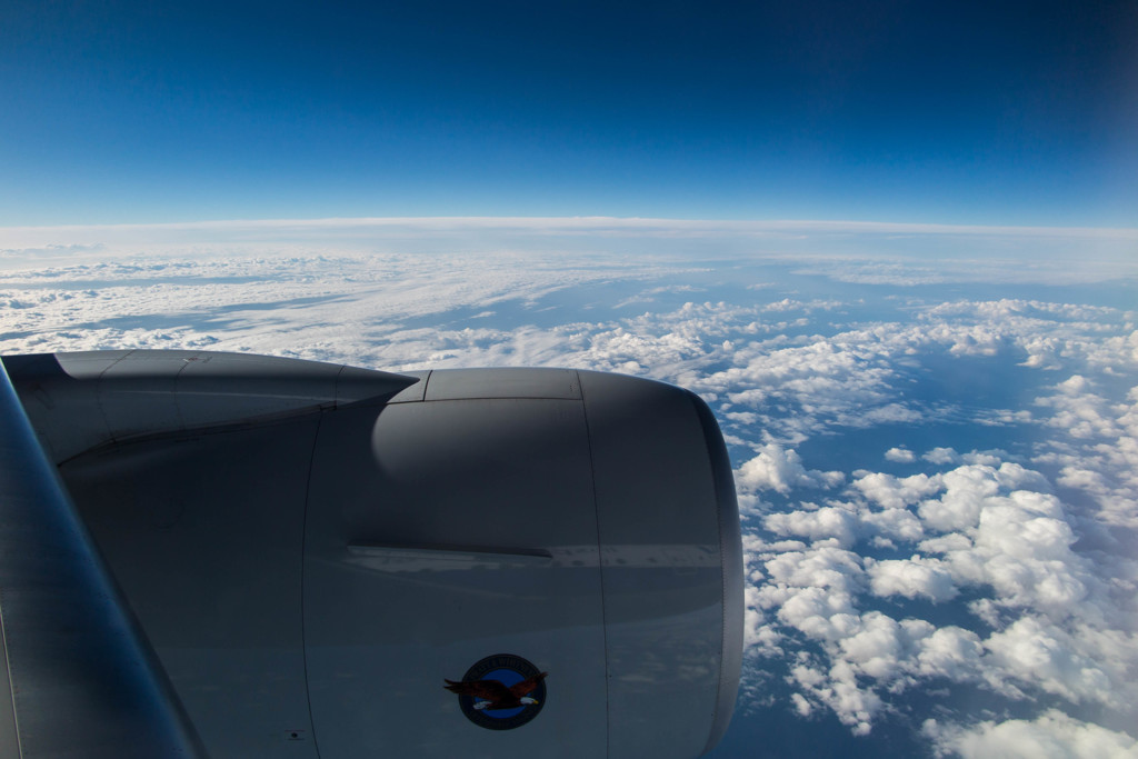 - flight -