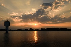 sunlight