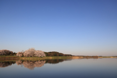 岡堰水神岬遠景