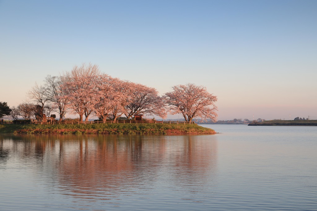 朝日に浮かぶ