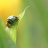 なんかようか