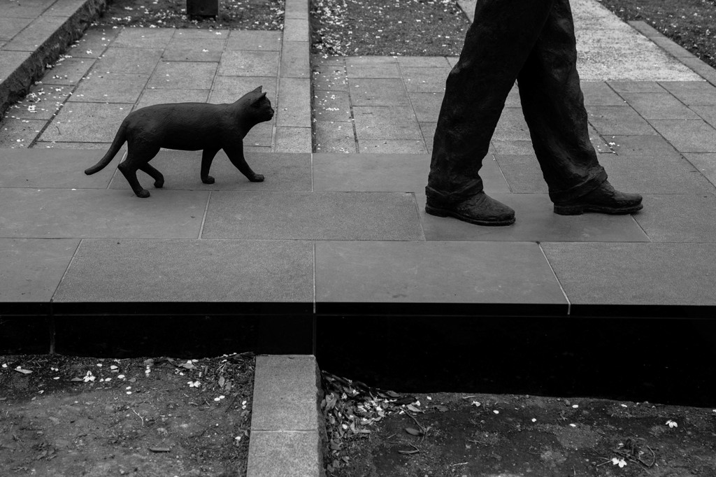 - with CAT -