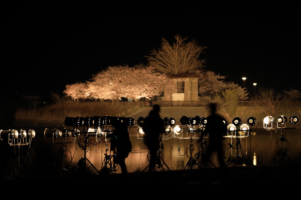 Lighting designer