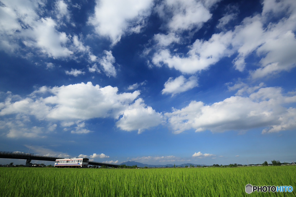 夏雲三昧