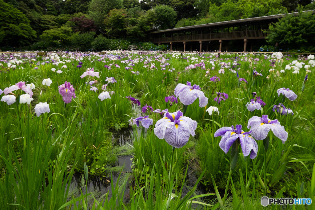 雨やんで