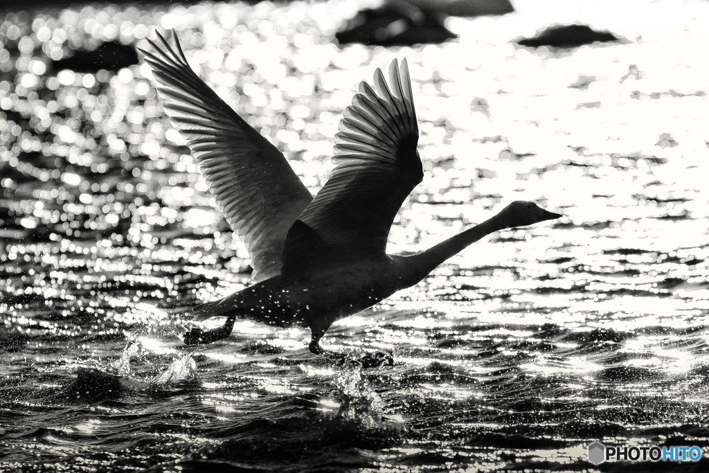 backlit