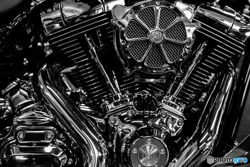 - HARLEY-DAVIDSON -