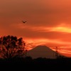 師走の空