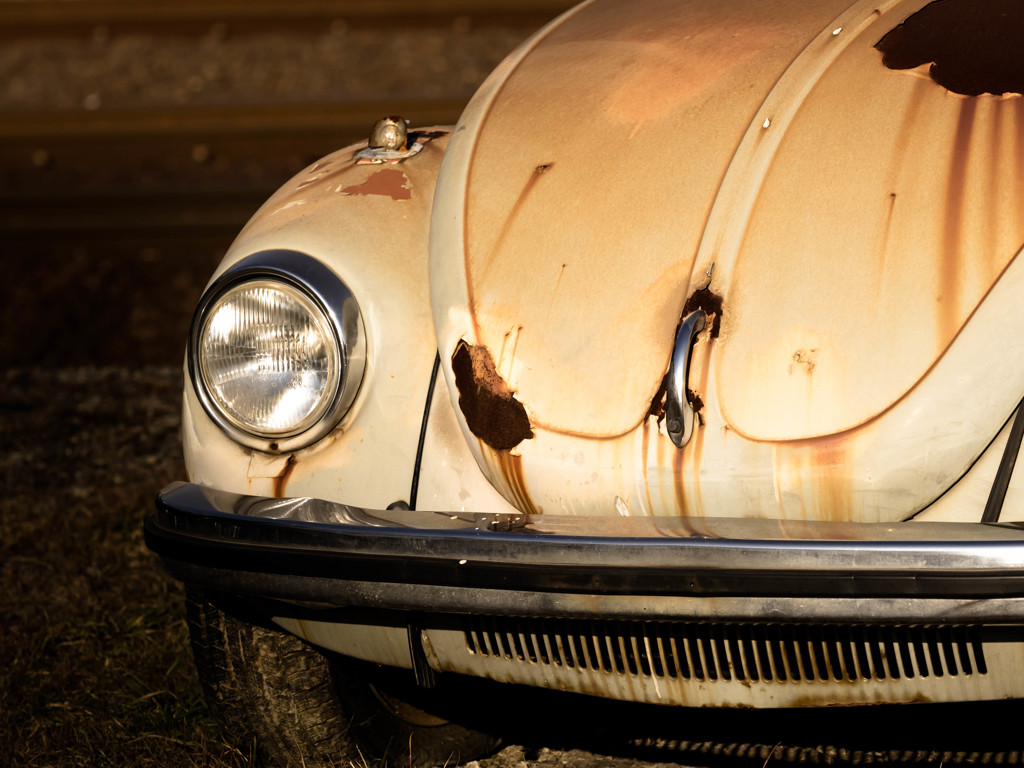 - Rusty Beetle -