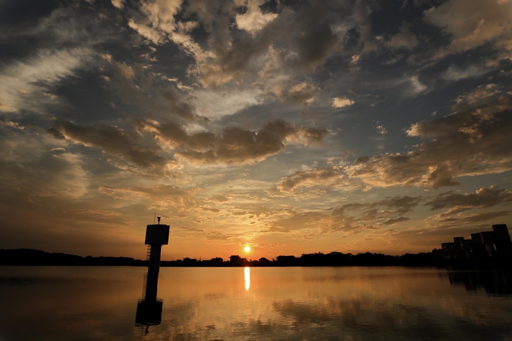 夏の夕べに