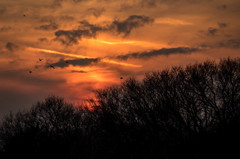 - 或る夕べ -