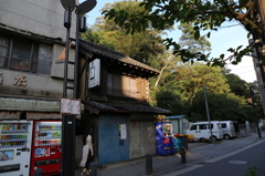 日の射す酒屋