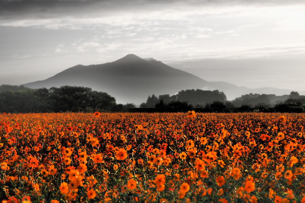 - 筑波山遠景 -