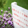 - 禁断の花園へ -