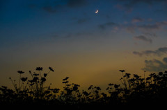 - earthshine with last cosmos -