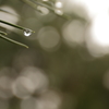 After Rain III