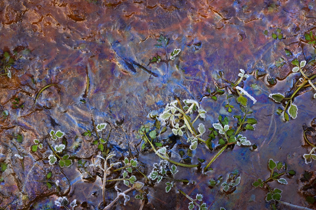 霜の景2