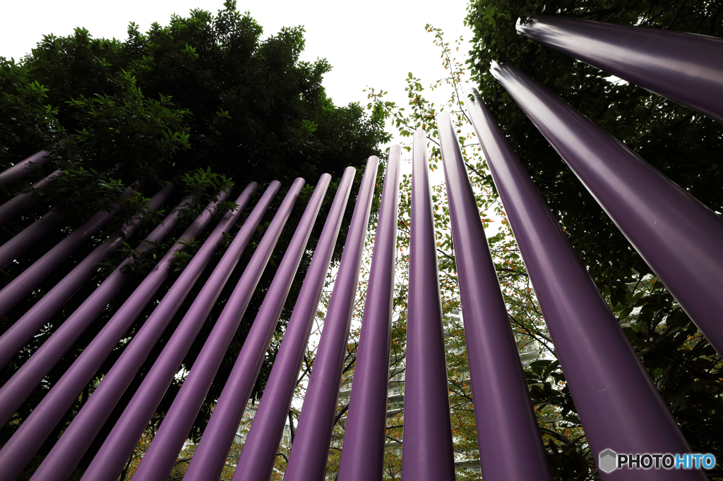 - North Garden (2) -