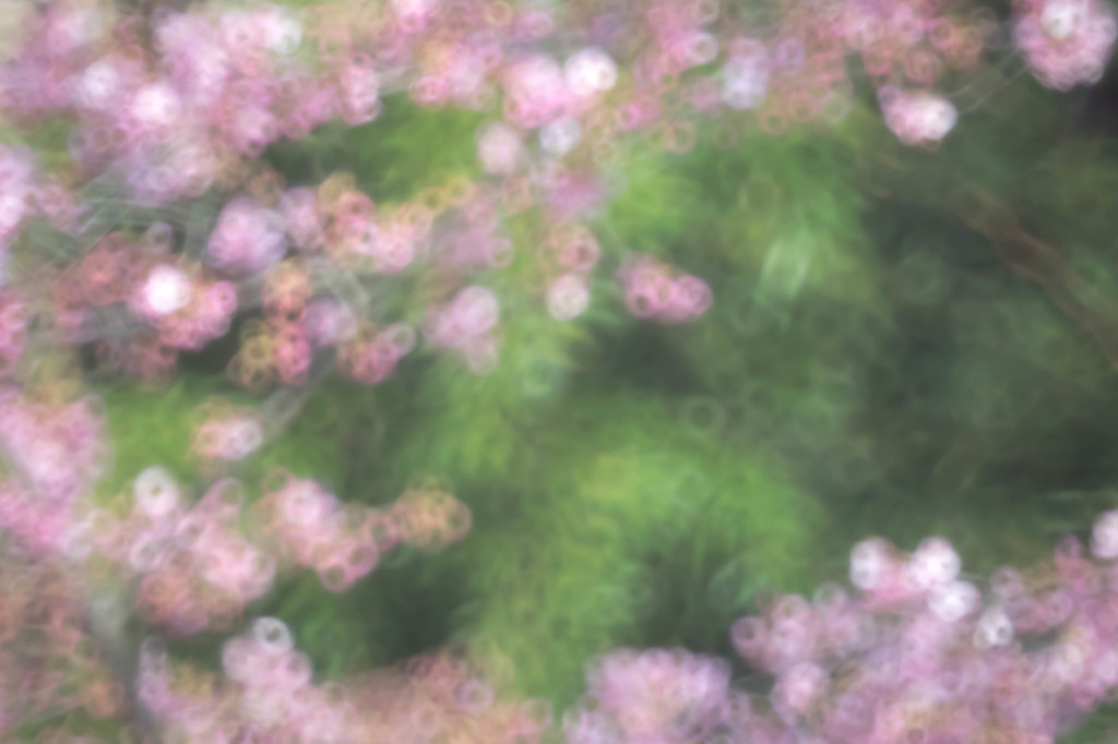 - 夢で逢いましょう -