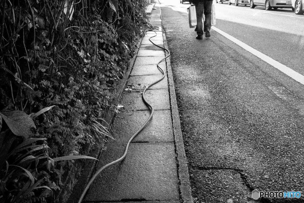 - KASHIWA 20160102 h -
