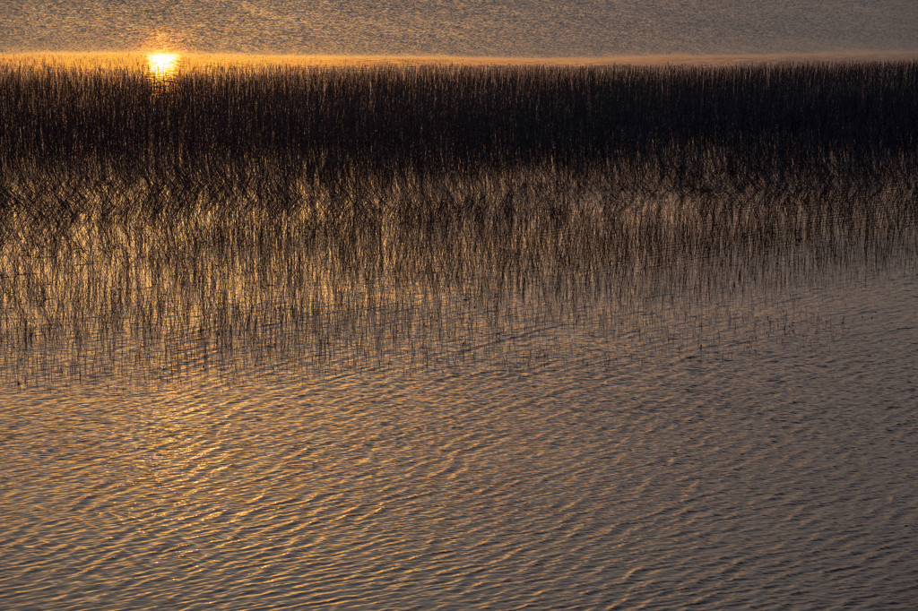 - Fiber of the light -