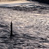 surface