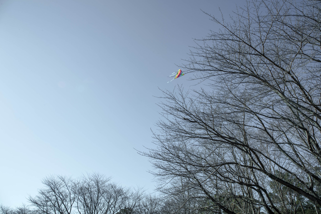 hooked kite