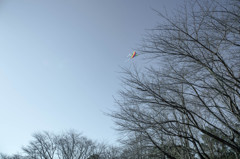 hooked kite